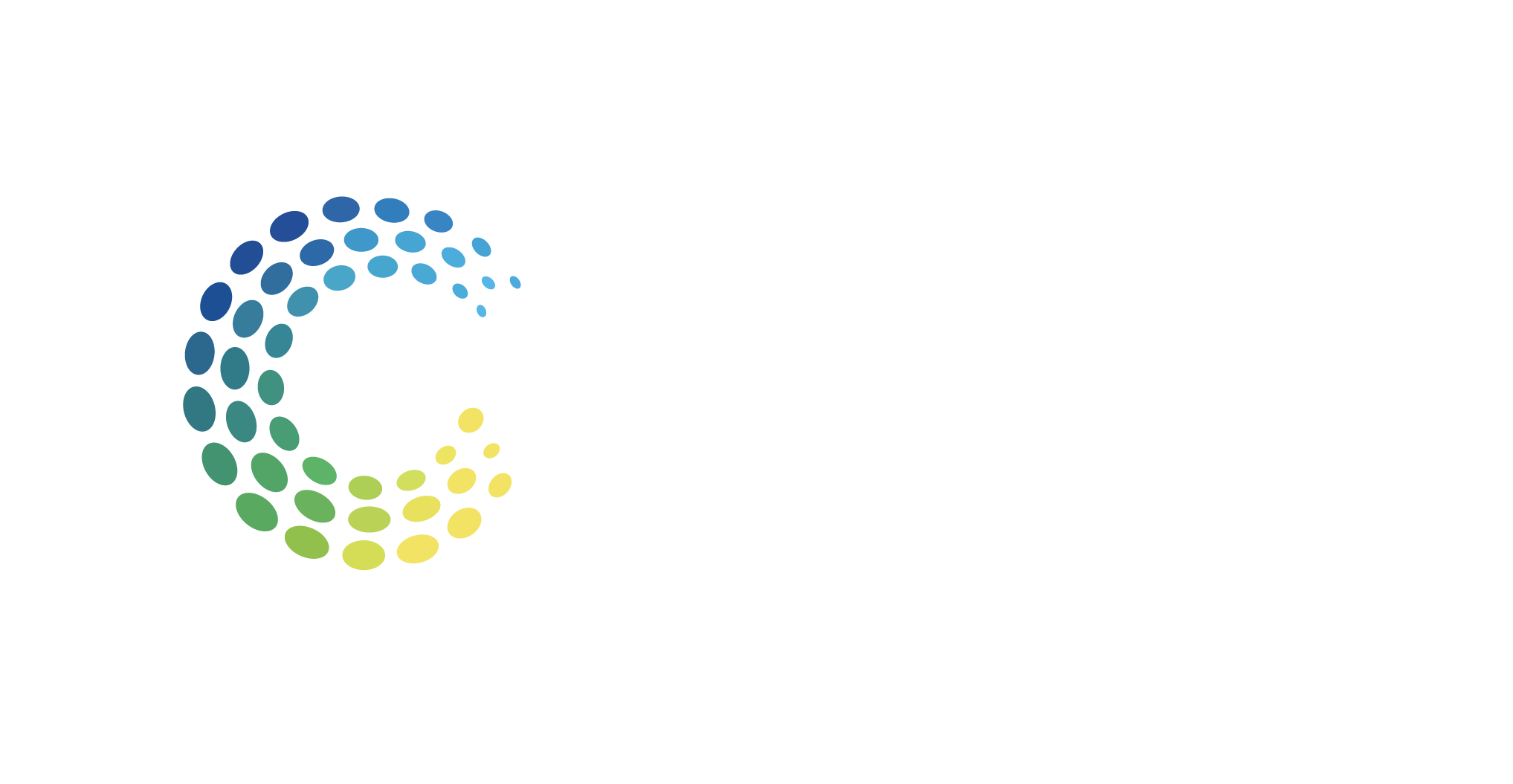 Qualier Internacional